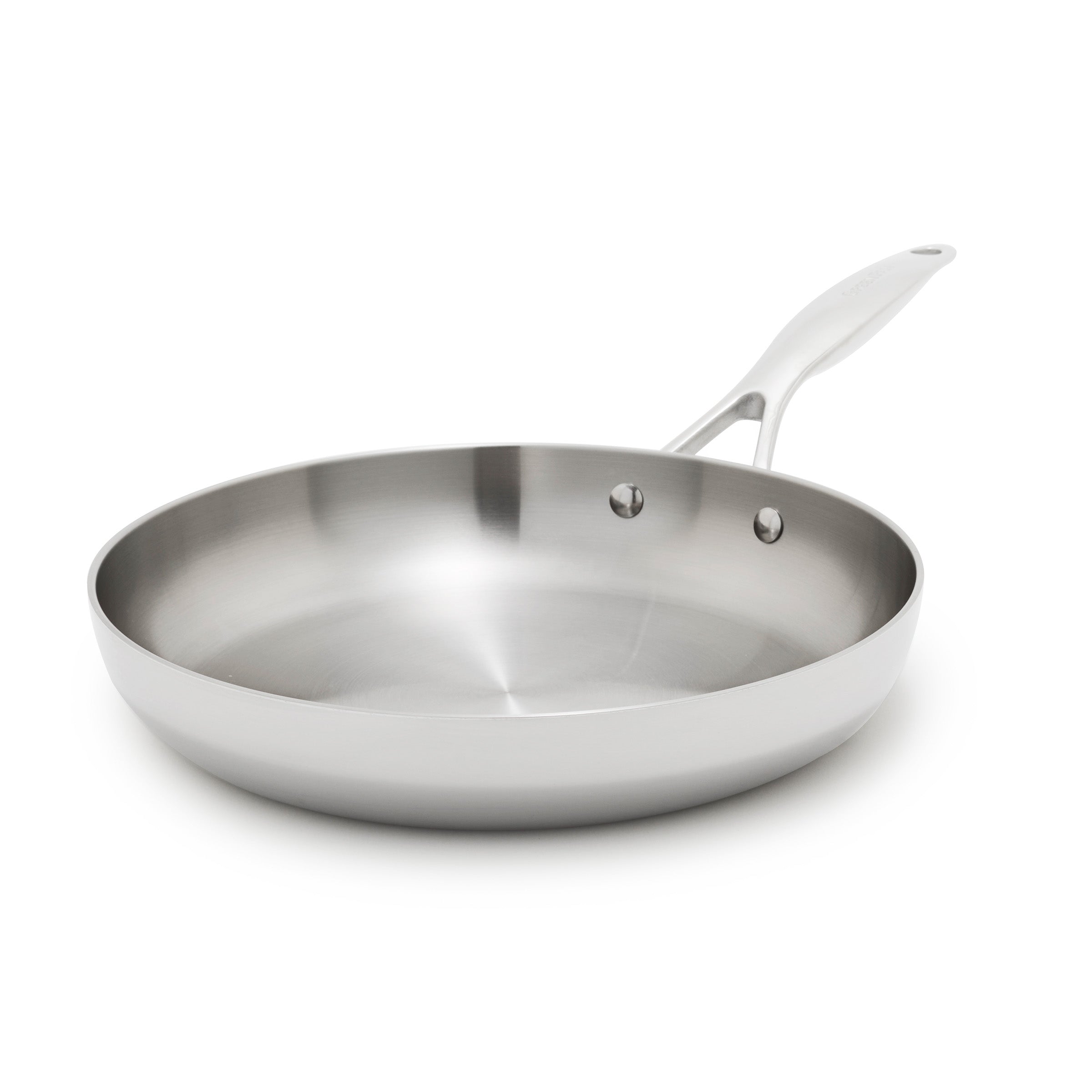 Valencia Pro Stainless Steel Uncoated 10 Frypan